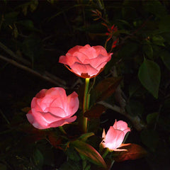 solar rose light